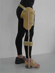 図6：下肢装具　股装具