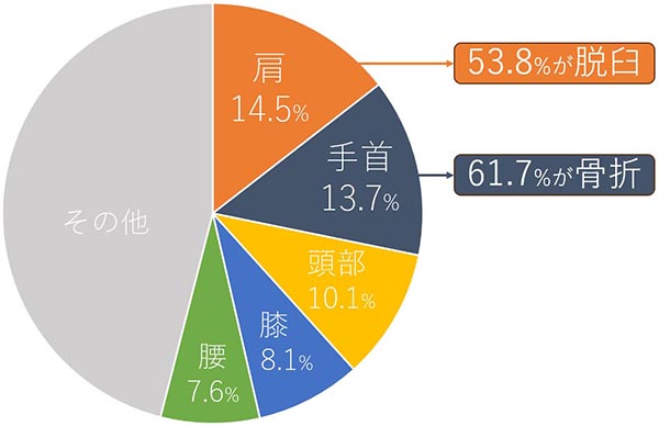 表2.スノーボード外傷